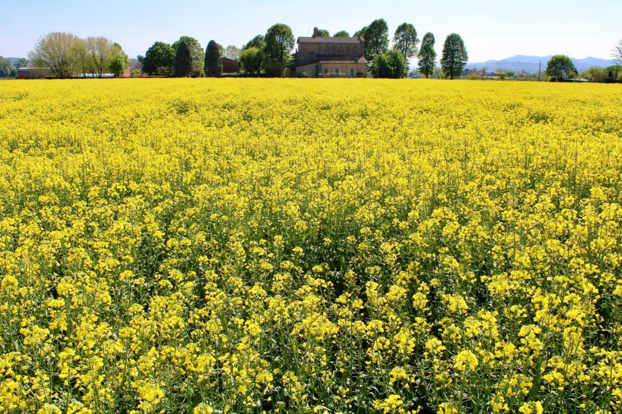 Agriturismo Ravaglia Grande Castel Guelfo Di Bologna Zewnętrze zdjęcie