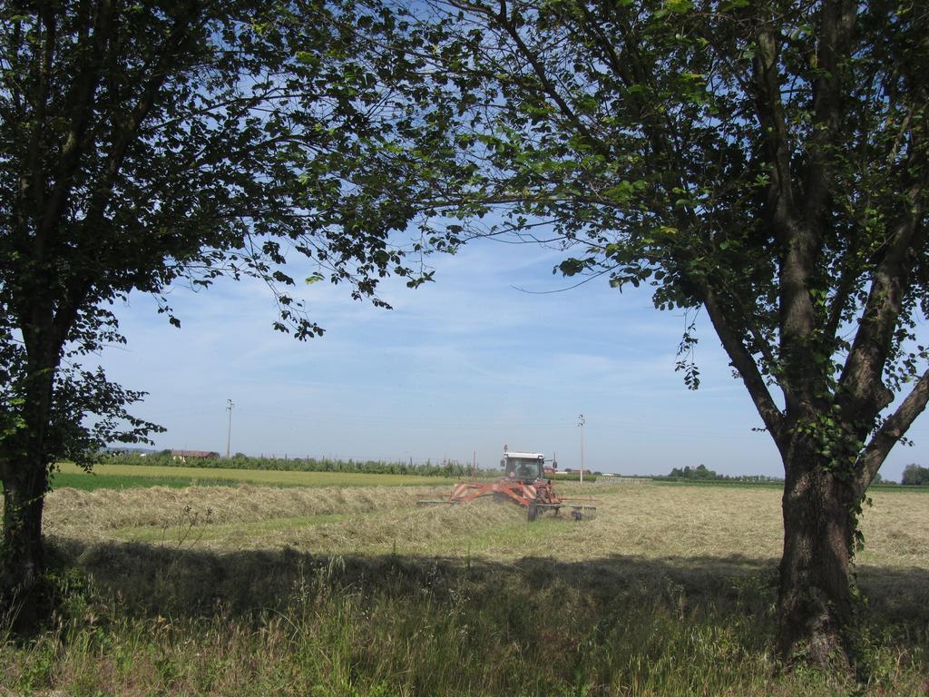 Agriturismo Ravaglia Grande Castel Guelfo Di Bologna Zewnętrze zdjęcie